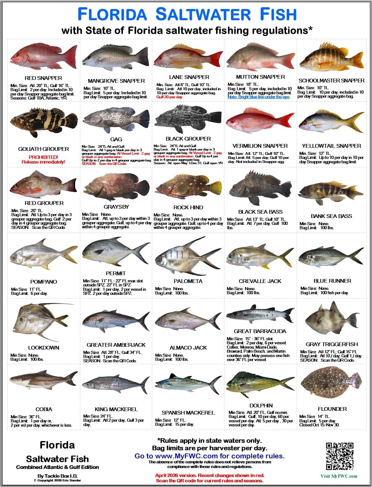 Florida Saltwater Fish Identification Card Set - Three Cards, 59 Common Fish - 17 Common Sharks - New Feb 1, 2020 Spotted Seatrout Rules and Zones