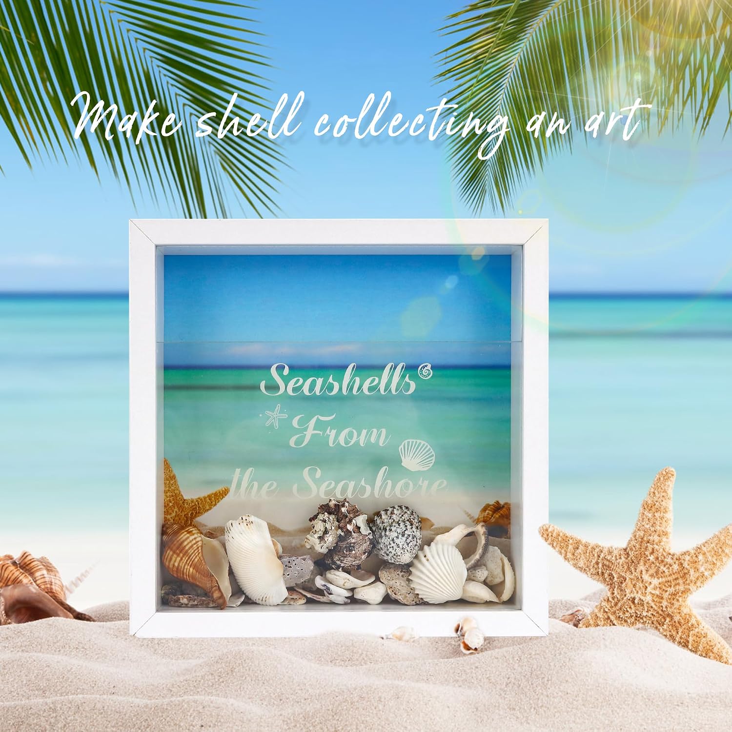 FramePro 8x8 Seashell Display Box with Real Glass (White) | Seashell holder shadow box for agates, shark teeth, starfish & trinkets, wall or tabletop, perfect beach decor display