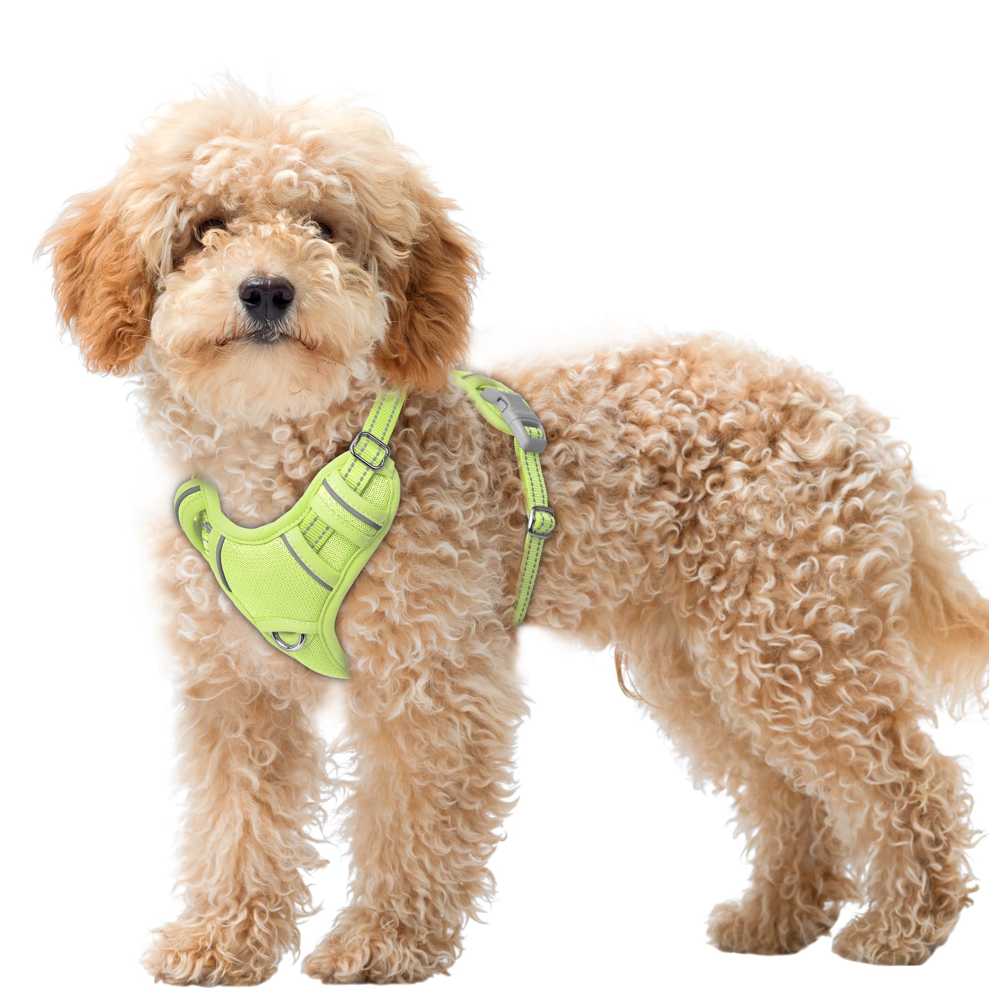 BARKBAY No Pull Dog Harness Large Reflective Dog Harness with Front Clip and Easy Control Handle for Walking Training Running with ID tag Pocket(Sunlight,XS)