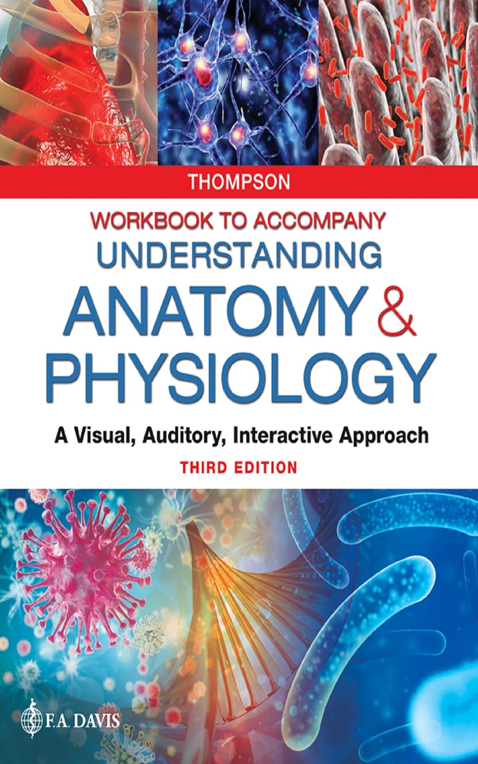 Workbook to Accompany Understanding Anatomy & Physiology A Visual, Auditory, Interactive Approach