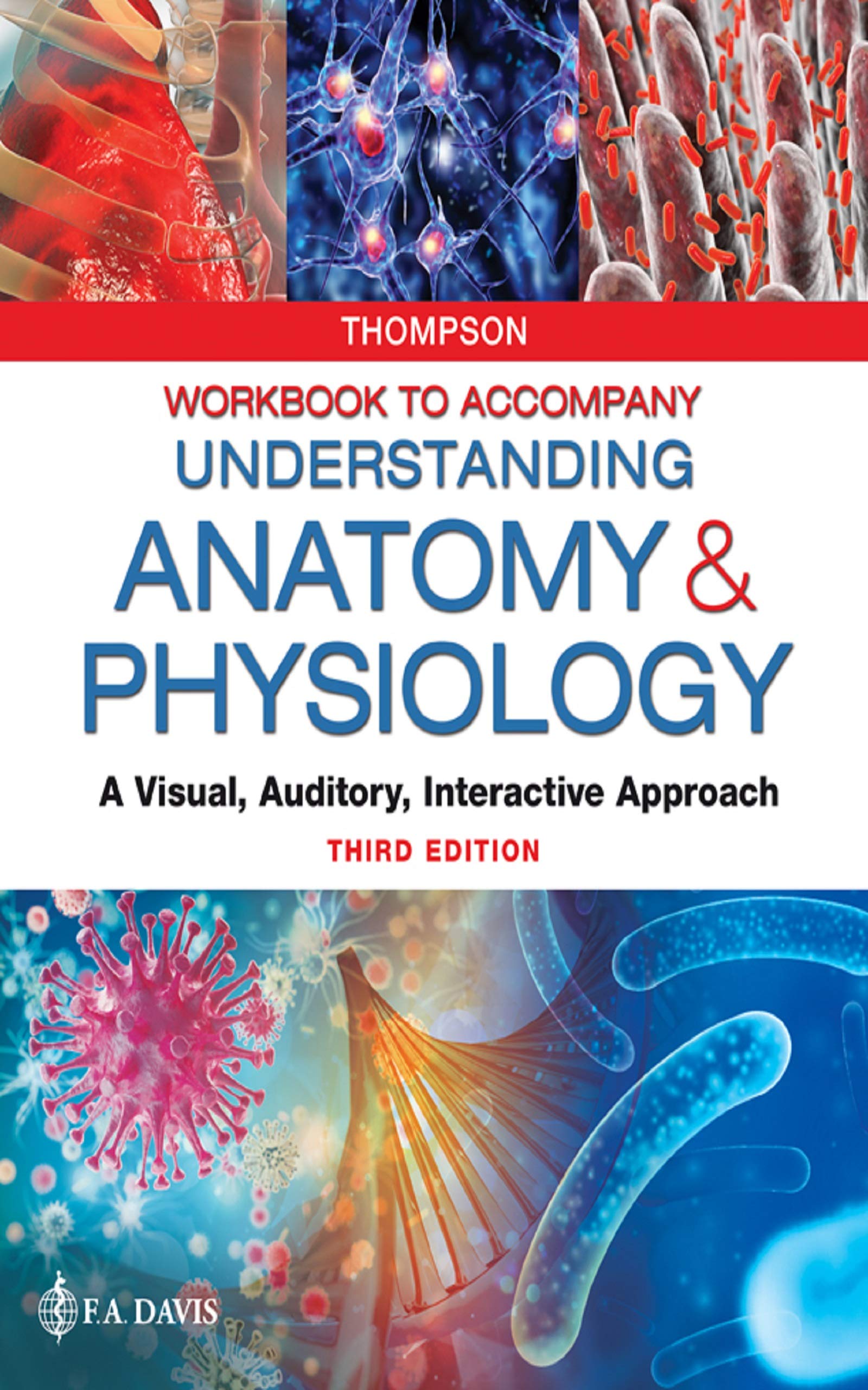 Workbook to Accompany Understanding Anatomy & Physiology A Visual, Auditory, Interactive Approach