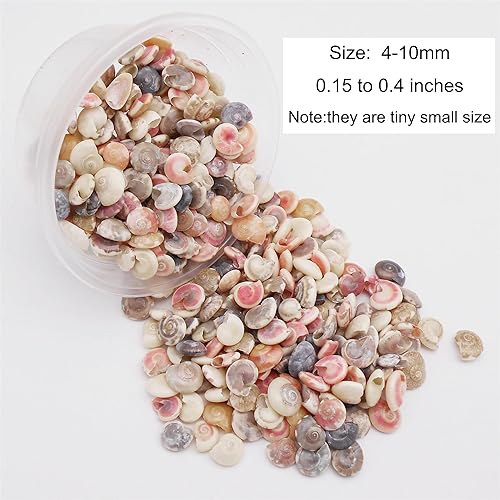 Miniatura 2 de Julie Wang 2.82 oz, alrededor de 750 unidades, pequeñas conchas en espiral de playa, conchas pequeñas naturales para hacer velas, fiesta temática