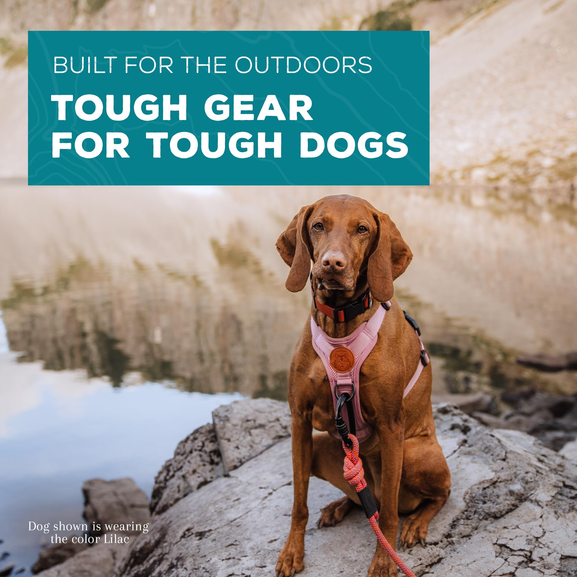 Wilderdog - Arnés ligero para perro con correas reflectantes, pequeño, color lila