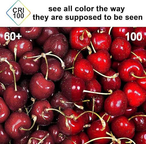 Miniatura 5 de Bombilla halógena G9 de 60 W, 120 V, regulable, larga vida útil, bombillas tipo T4 JCD, base de 2 pines, blanco cálido de 2700 K (paquete de 12)