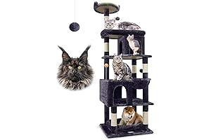 S72 - Main Coon Cat Tree for Large Cats