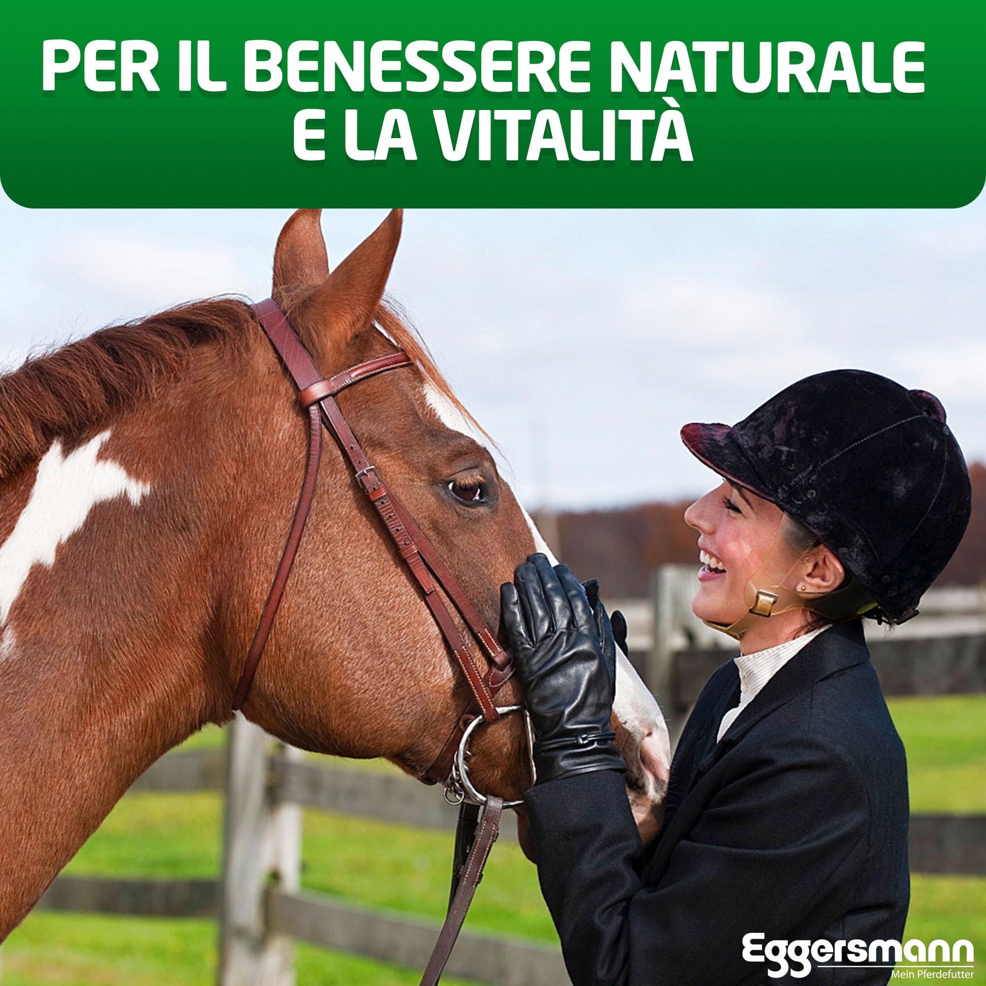 Eggersmann Mein Pferdefutter EMH - Fieno cubes da 20 kg – Mangime grezzo in fieno essiccato al sole ideale come ricambio completo per cavalli e pony, ideale per problemi dentali, produzione tedesca