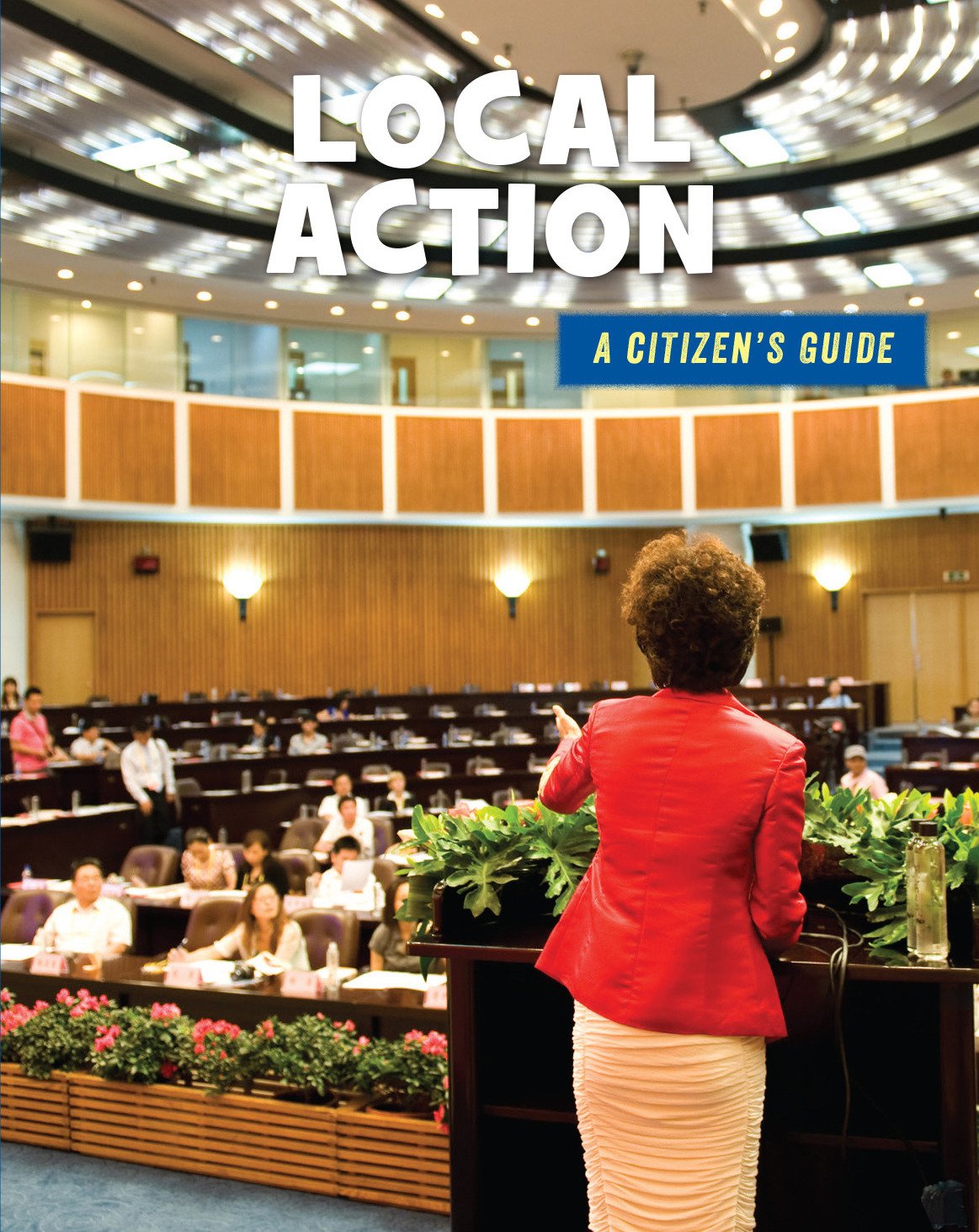 Local Action (21st Century Skills Library: A Citizen's Guide)