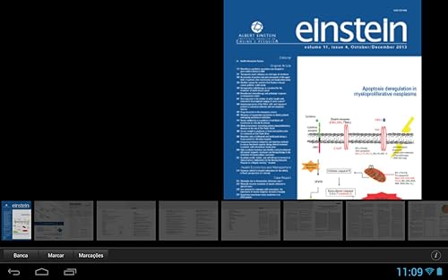 Revista Einstein
