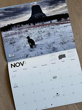 Pooping Pooches White Elephant Gag Gift Calendar