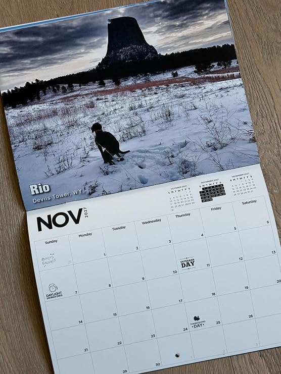 Pooping Pooches White Elephant Gag Gift Calendar