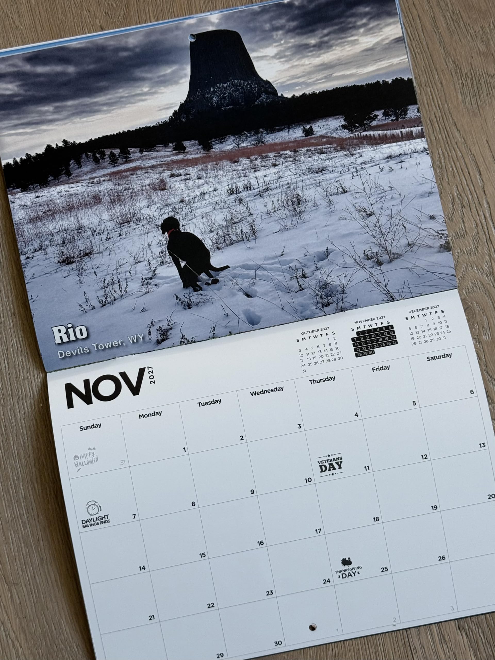 Pooping Pooches Wandkalender, weißes Elefant, Spaßkalender, Geschenkidee