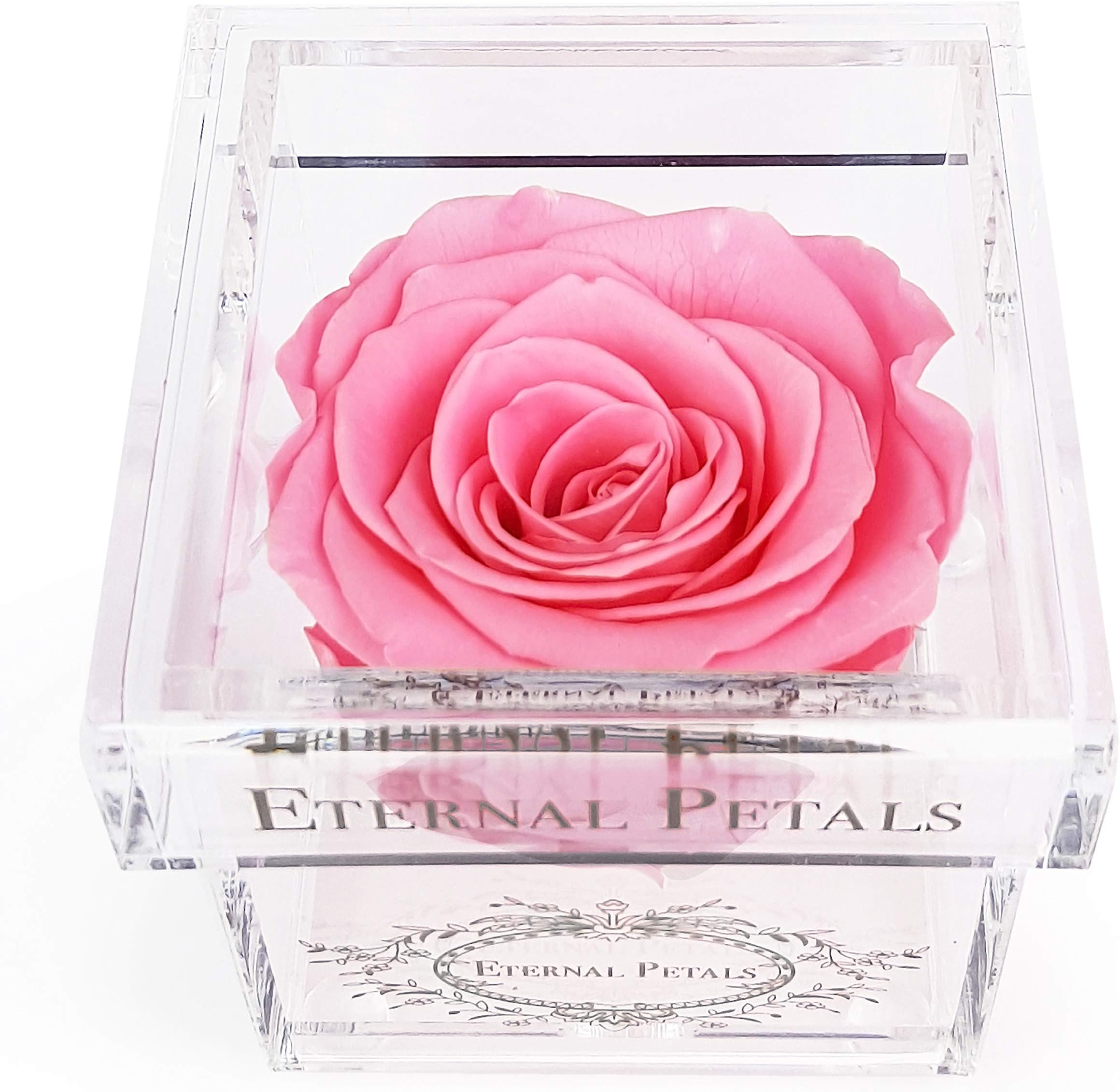 Eternal Petals A 100% Real Rose That Lasts A Year - The Perfect Unique Gift for Women and Men, An, A Birthday Gift (Pink)