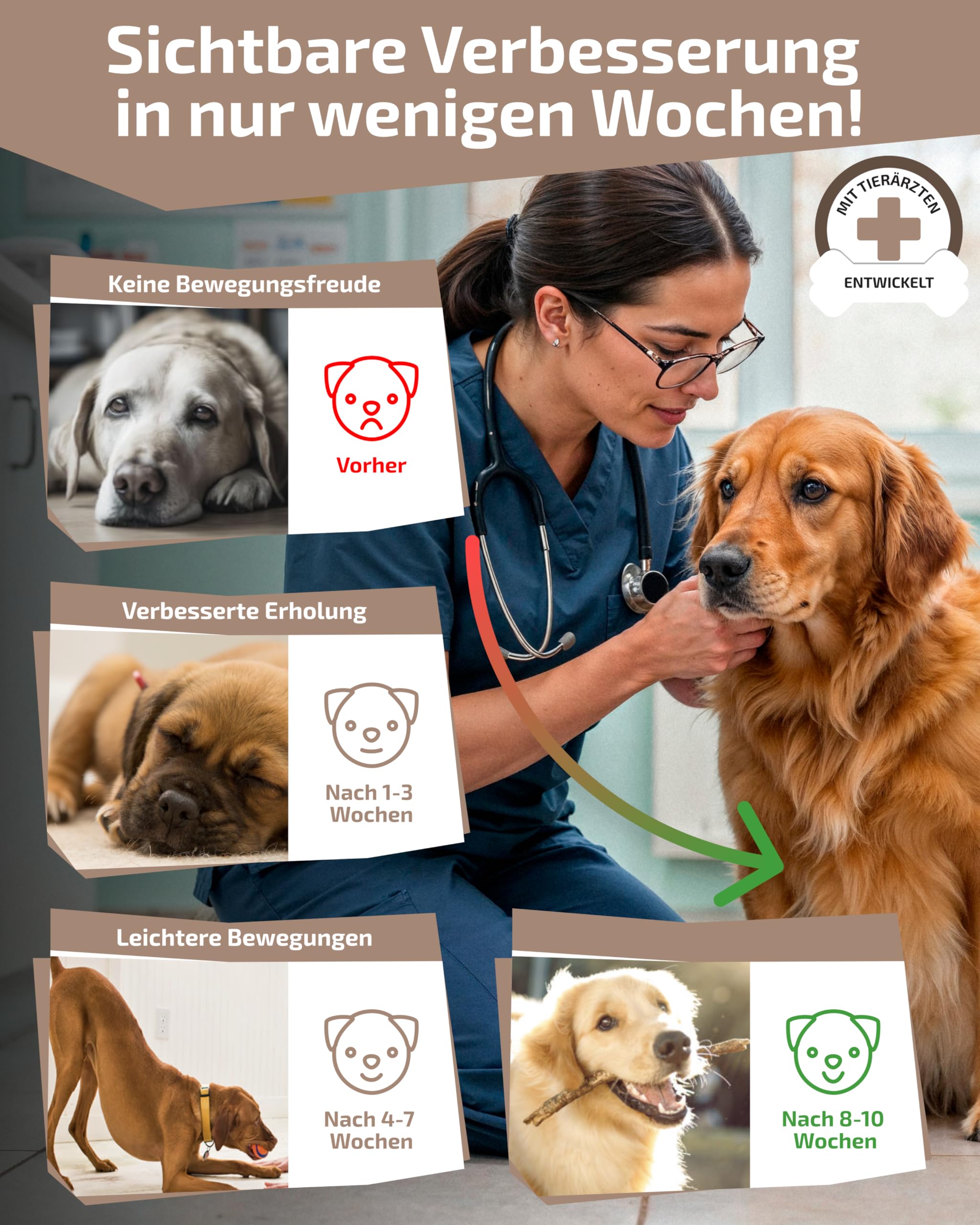 Gelenktabletten Hund [MADE IN GERMANY, ZUCKERFREI & LABORGEPRÜFT] Hochwirksame Formel mit Grünlippmuschel, MSM, Glucosamin, Curcuma, Granatapfel & Teufelskralle für Knochen & Gelenke (150g (1er Pack))
