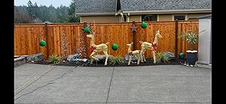 Review Image by April Swanson April Swanson