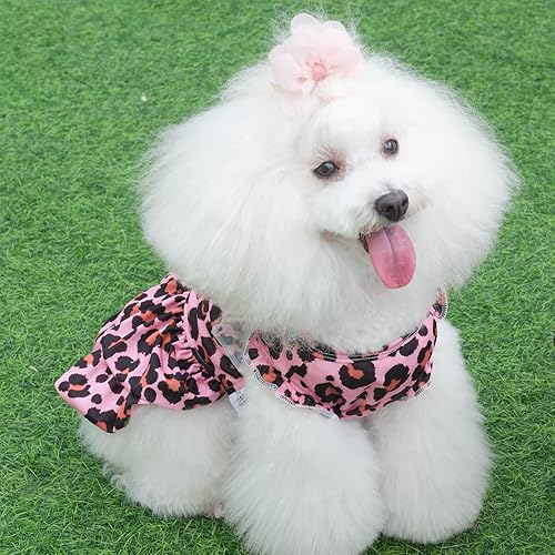Miniatura 5 de CuteBone - Vestido de terciopelo para perro, falda de leopardo rosa, disfraz de mascota, ropa de gato con lazo, cuerda para el día de San Valentín