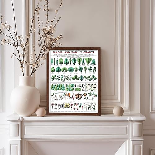 Miniatura 332 de Poster Master Póster vintage de orquídea, estampado de flores retro, arte de pared de plantas exóticas, arte botánico, regalo para hombres y