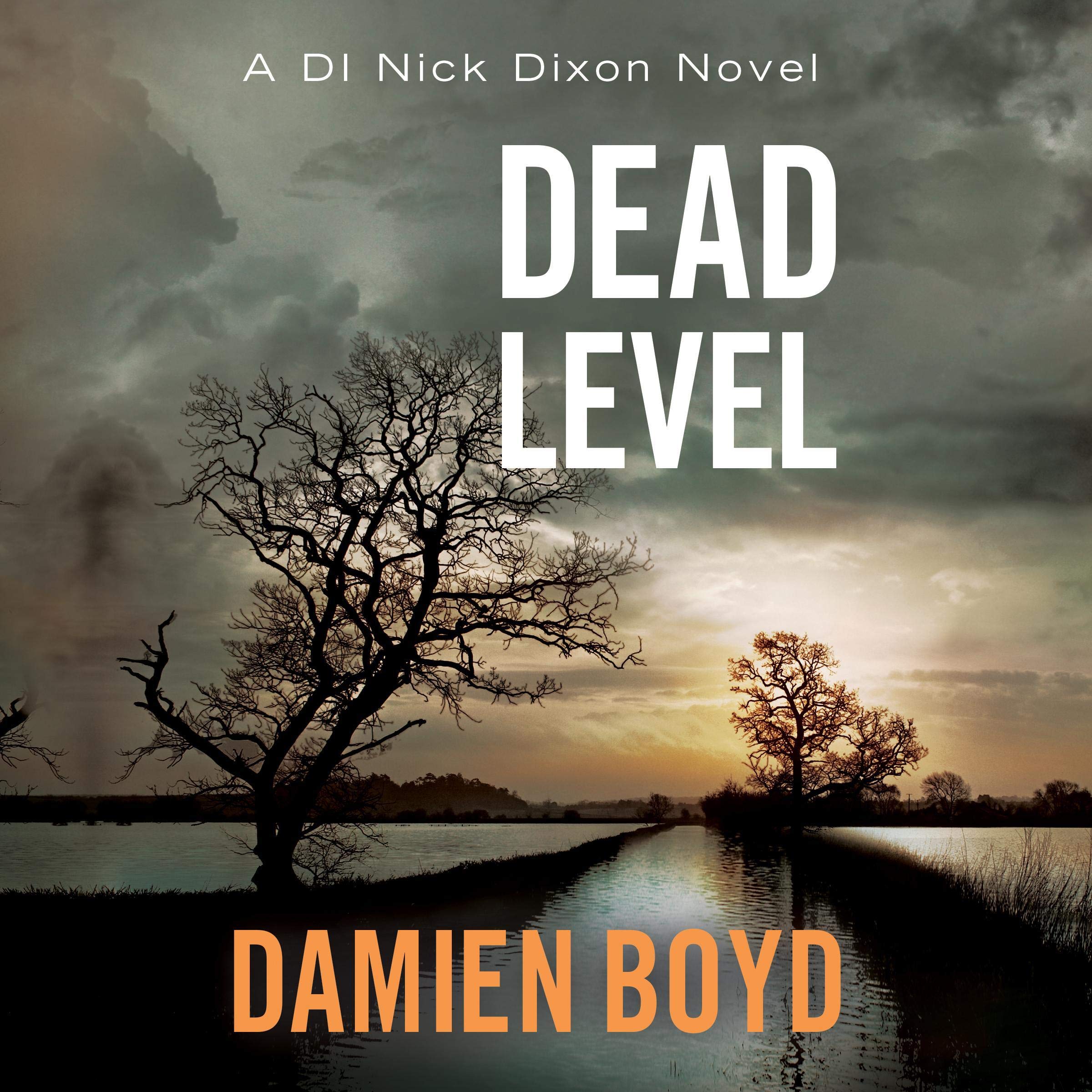 Cover art for Dead Level: DI Nick Dixon Crime, Book 5