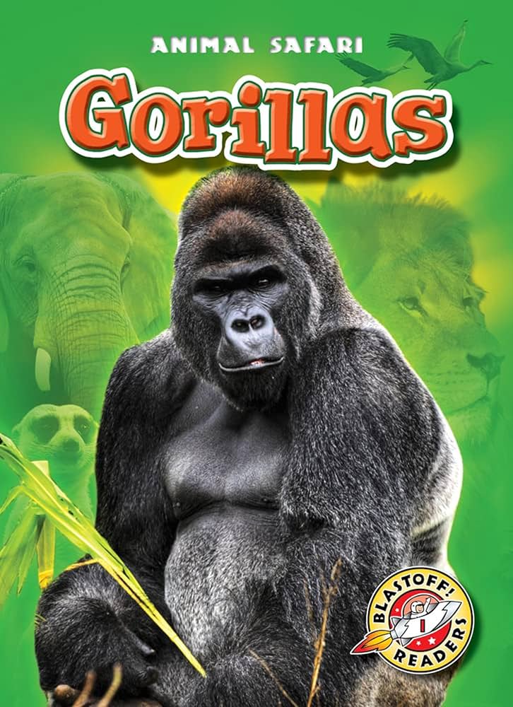 ゴリラズ gorillas レア本 ゴリラズ gorillas レア本 ゴリラズ gorillas レア本 ゴリラズ
