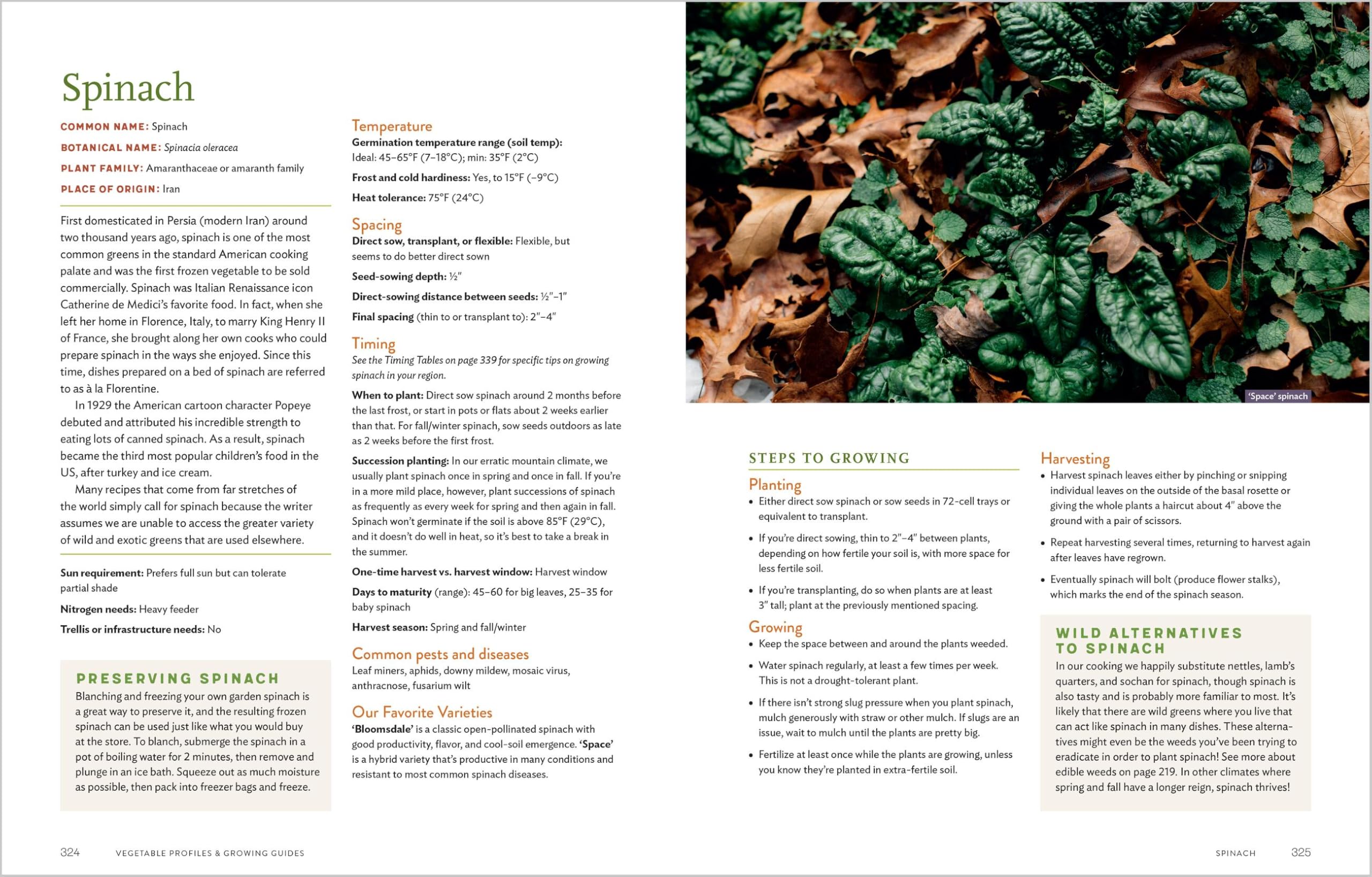 Grow Your Own Garden: A Complete Guide -10