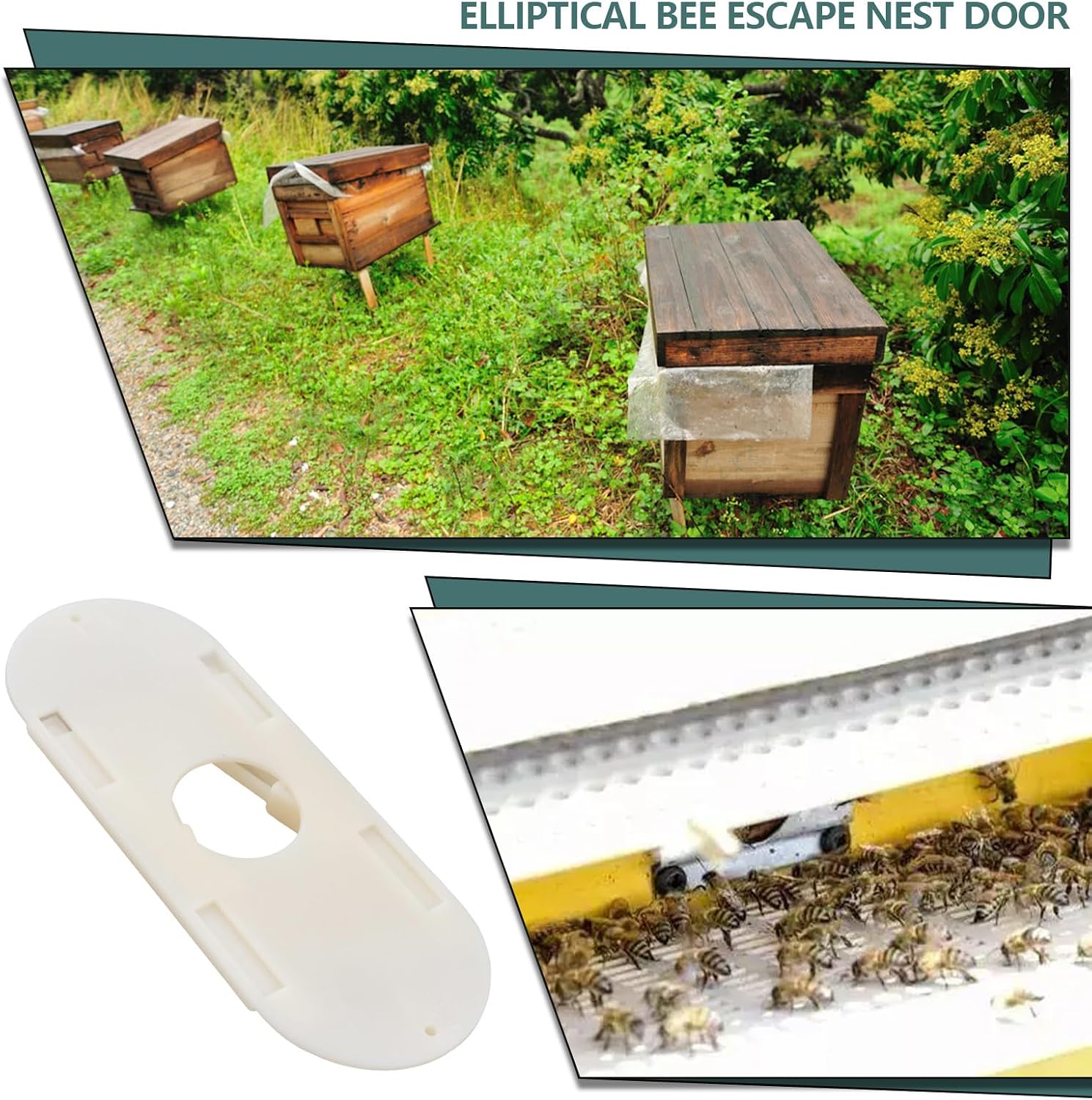 SING F LTD 6PCS Bee Escape Equipment 109 x 42mm Plastic Beekeeping Bee Escape Hive Doors Beekeeping Tools for Honey Production(Hole Size 21.7mm)