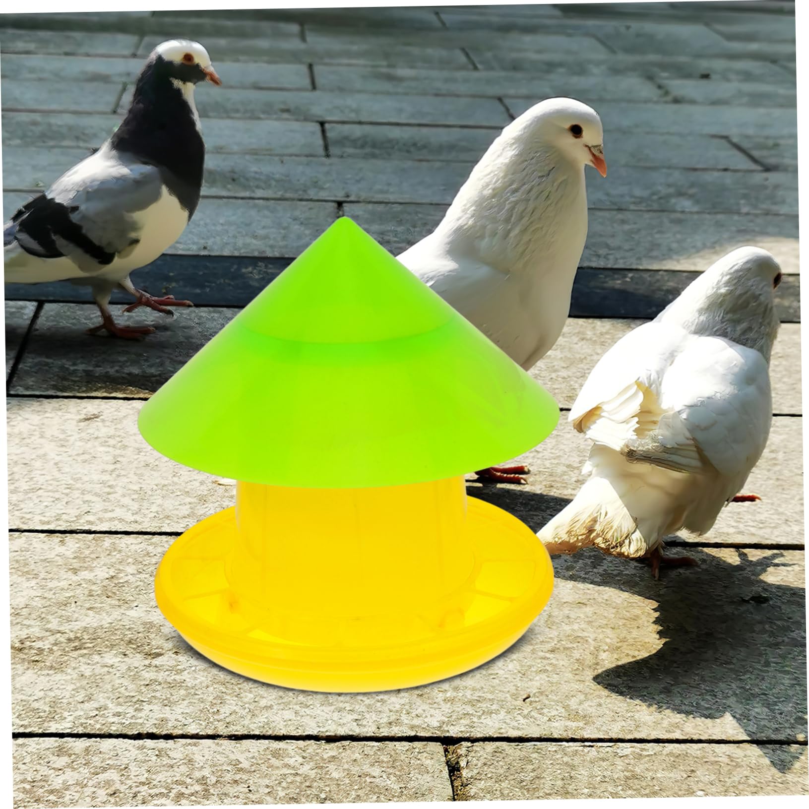 POPETPOP Mangiatoia Per Galline Mangiatoia Per Pollame Contenitore Per Alimenti Ciotola Per Cibo Piatto Per Alimentazione Distributore Di Cibo Per Piccioni
