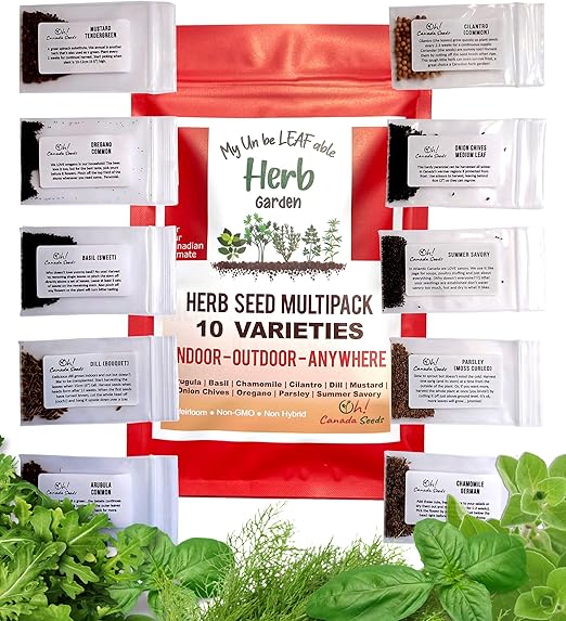 Oh! Canada Seeds, 9700 Herb Seeds 10 Heirloom Seeds for Planting
