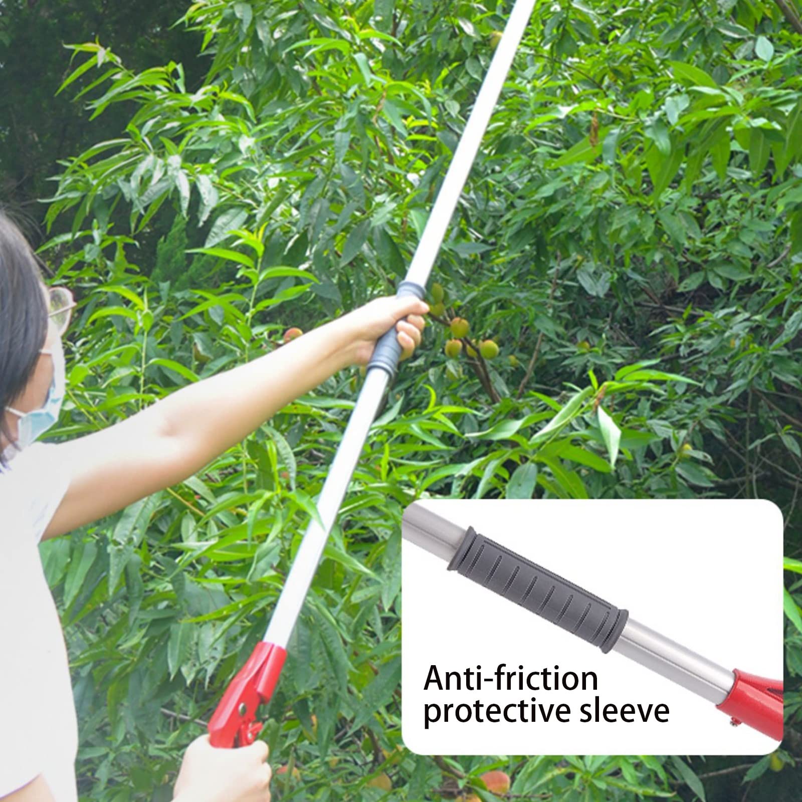 Fruitplukker,Hulpmiddelen voor het plukken van fruit, Telescopische Stang van Aluminiumlegering, Grijper met Drie Klauwen voor Zachtss Grijpen ( 1m-1.5m, 3.3ft-5ft