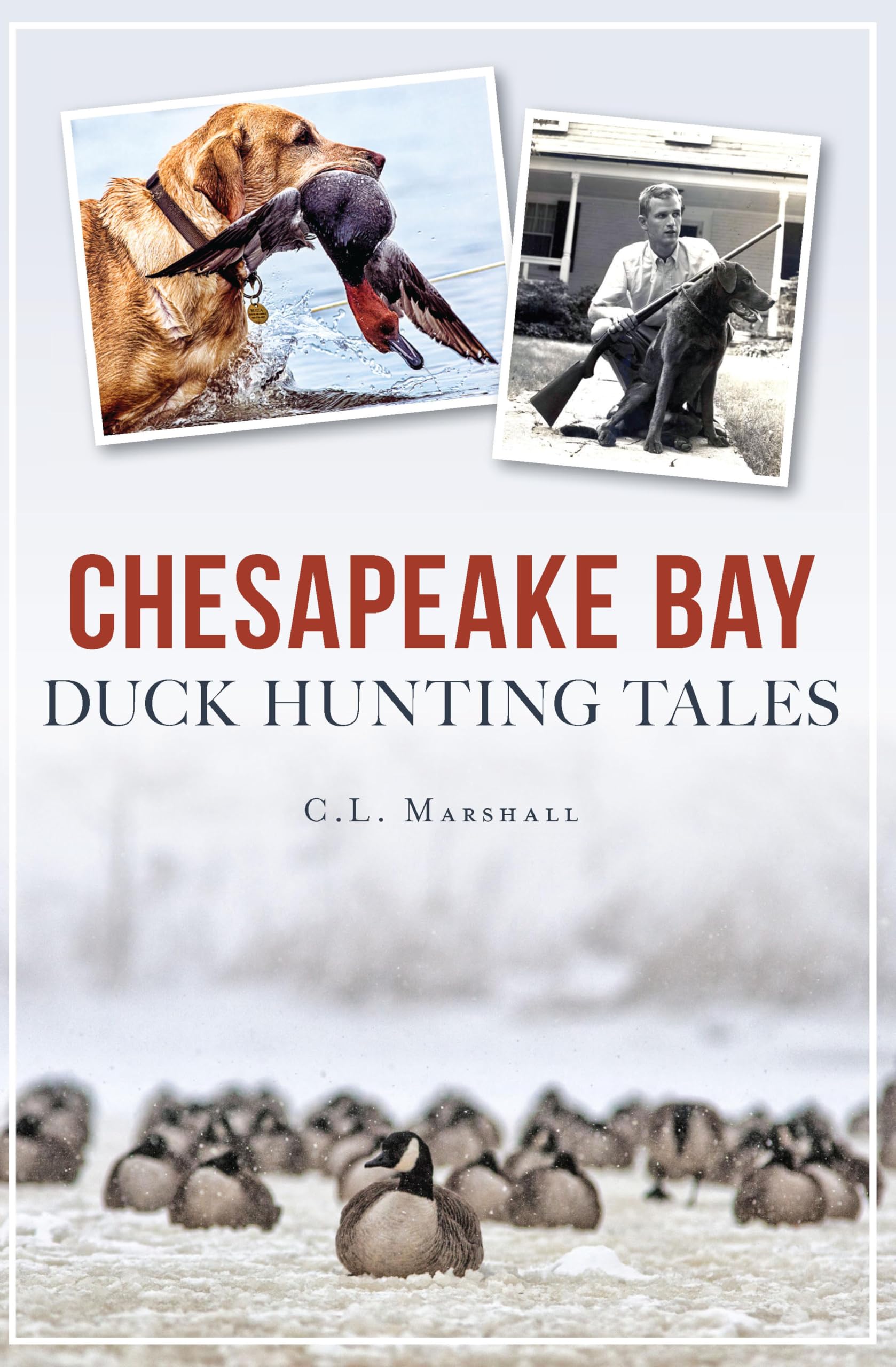 Chesapeake Bay Duck Hunting Tales : offrez ce magnifique livre de sport et de tradition