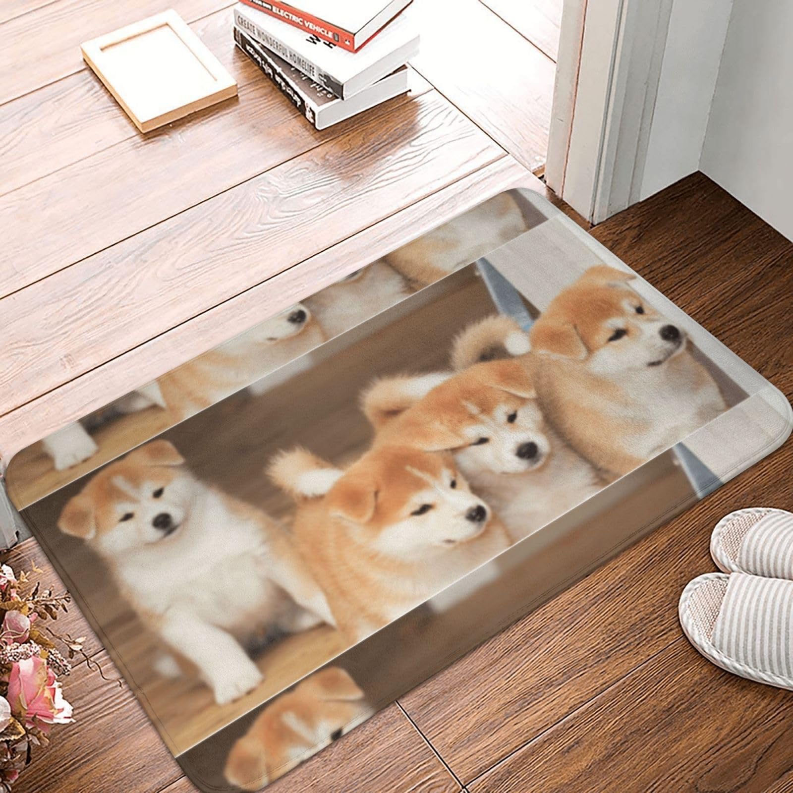 Amazon | 玄関マット バスマット 40×60cm 滑り止め 屋外 室内 可愛い