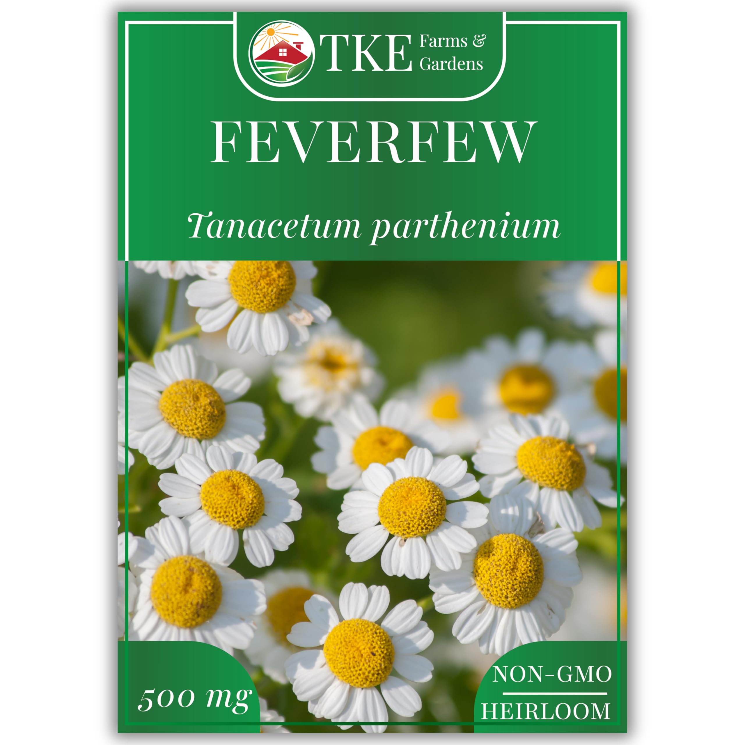 Feverfew Seeds for Planting, 3000+ Heirloom Non-GMO Medicinal Herb Seeds, Grow Indoors or Outdoors, Easy to Follow Instructions Included, Chrysanthemum parthenium