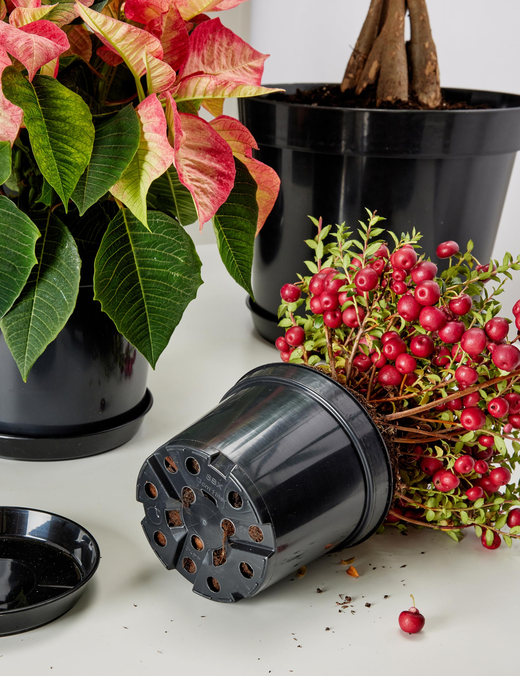 Vaso tondo alto Stem Element in Plastica da esterno e giardino per p
