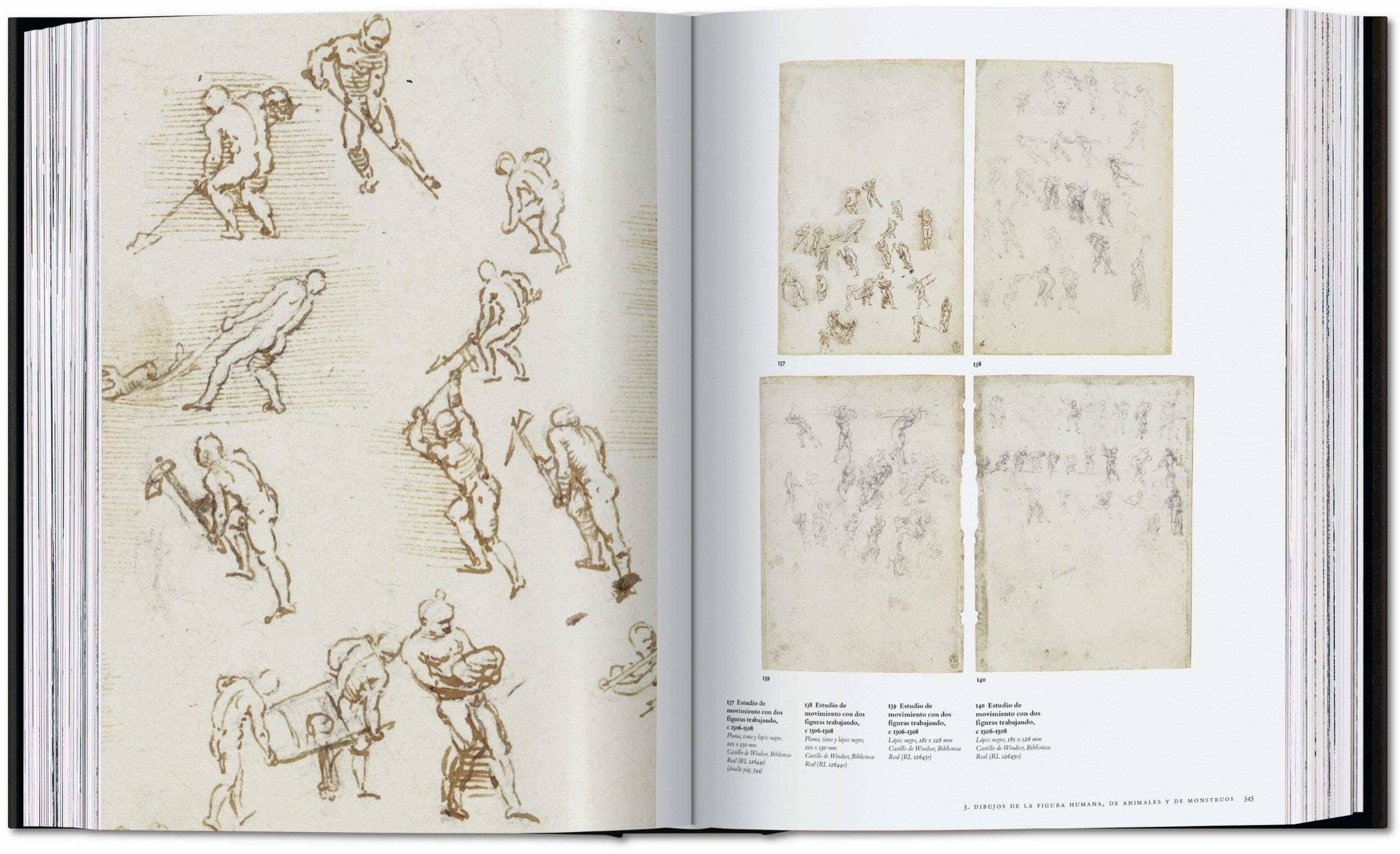 Leonardo: Obra pictórica completa y obra gráfica