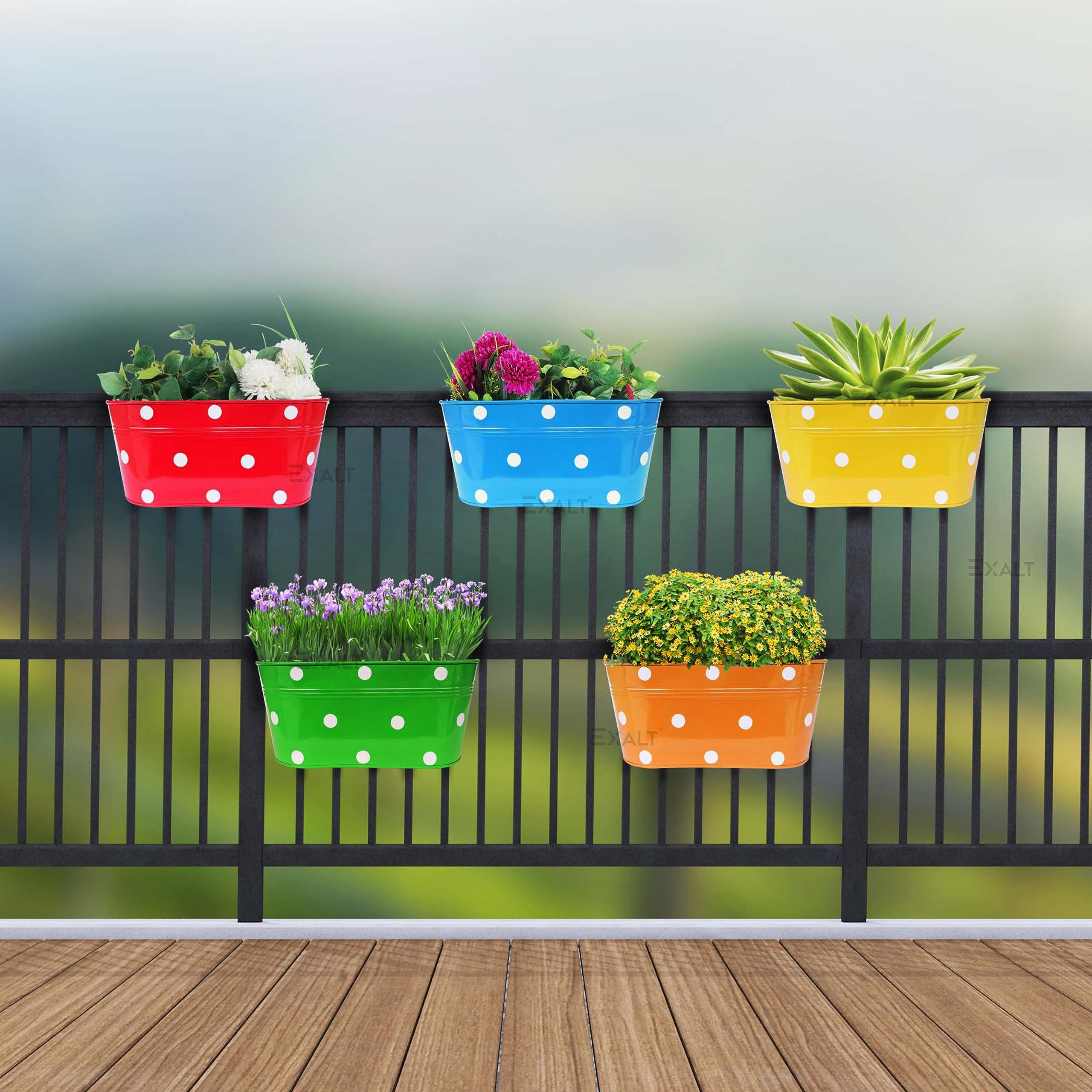 EXALT® Railing Planters Dotted Oval Rectangular Shape Hanging Flower Pots for Grills Home Gardening Outdoor Metal Plant Pots (Multicolour, Pack of 5) (B0CH3LK4GP) Amazon Price History, Amazon Price Tracker