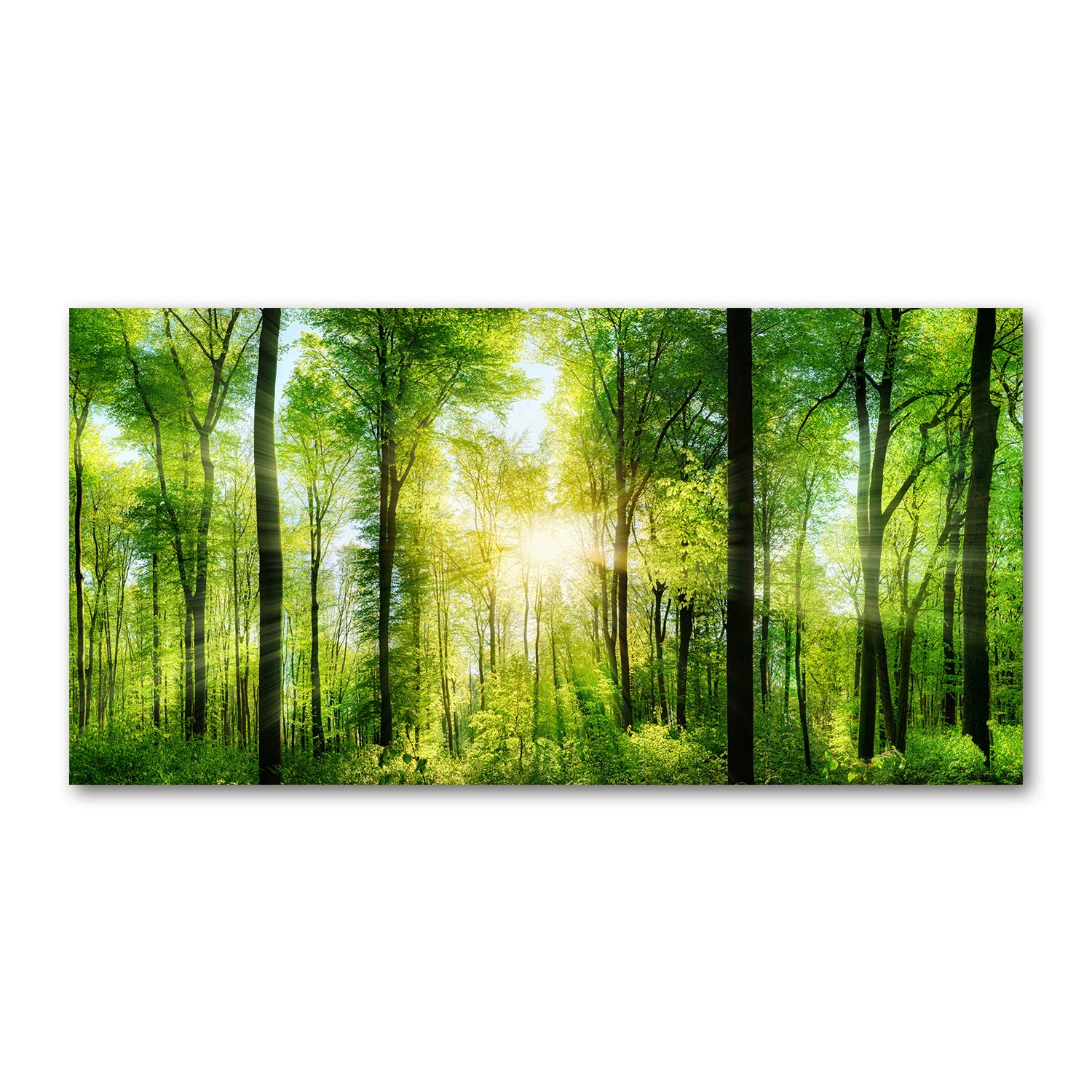 Tulup Obraz szklany na ścianie - Sztuka ścienna - Obraz za hartowanym szklanym panelem bezpieczeństwa - Dekoracyjna ściana do kuchni i salonu 120x60 - Krajobrazy - Las Słońce - Zielony