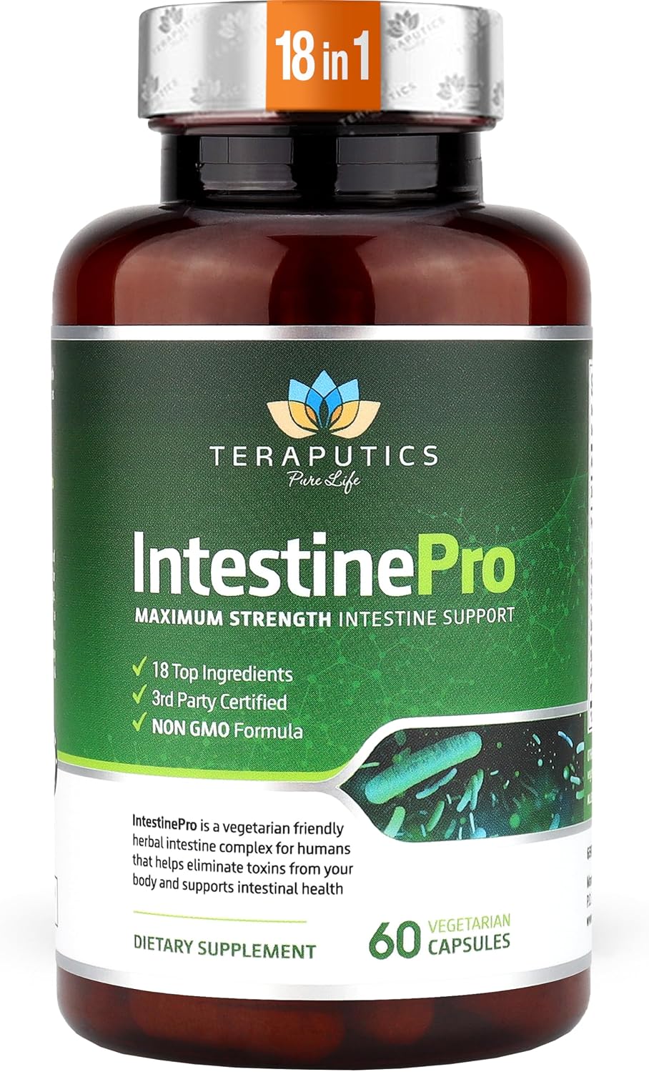 Amazon.com: IntestinePro - Gut Health Supplement with Non-GMO Wormwood ...
