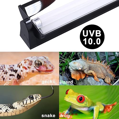 Miniatura 6 de Aiicioo Kit combinado de iluminación T5 UVB - Lámpara de campana de terrario Desert 100 y bombilla T5 HO UVB de alto rendimiento para reptiles