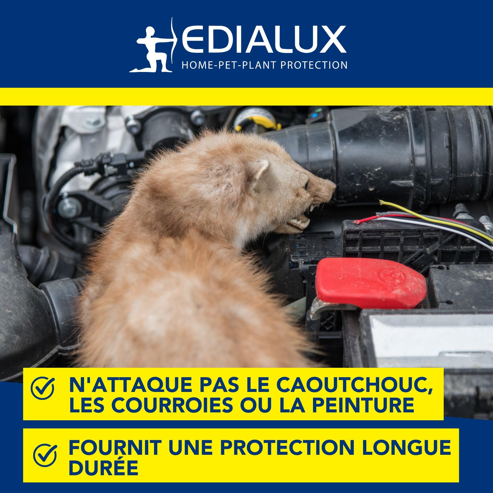 Edialux Spray répulsif anti fouines et martres 500ml, protection pour voiture, grenier et garage, répulsif écologique, application facile avec bouteille 360°