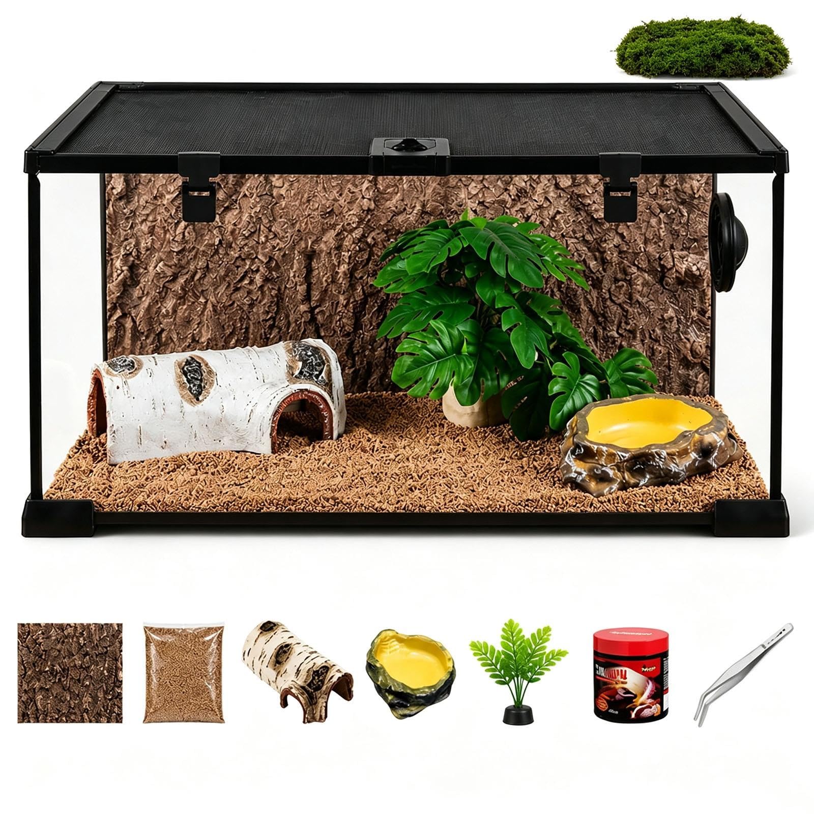 Terrario de Cristal para Reptiles con Tapa de Malla
