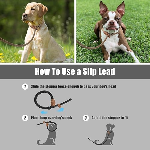 Miniatura 6 de Mile High Life Correas antideslizantes para perros  Correa de entrenamiento resistente para perros  Correas antideslizantes de 6 pies con punta de