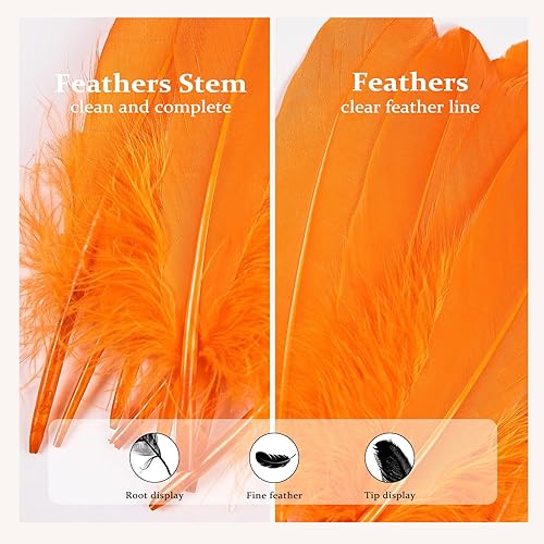 Miniatura 9 de FeelfunFeather 120 plumas de ganso amarillas de 6 a 8 pulgadas, 5.9-7.9 in, decorativas, naturales, plumas de ganso Nagoire a granel para