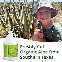 Vista 2 de Seven Minerals Gel orgánico de aloe vera de aloe 100% puro recién cortado, 1 galón, de la más alta calidad, cultivado en Texas, vegano, sin perfume
