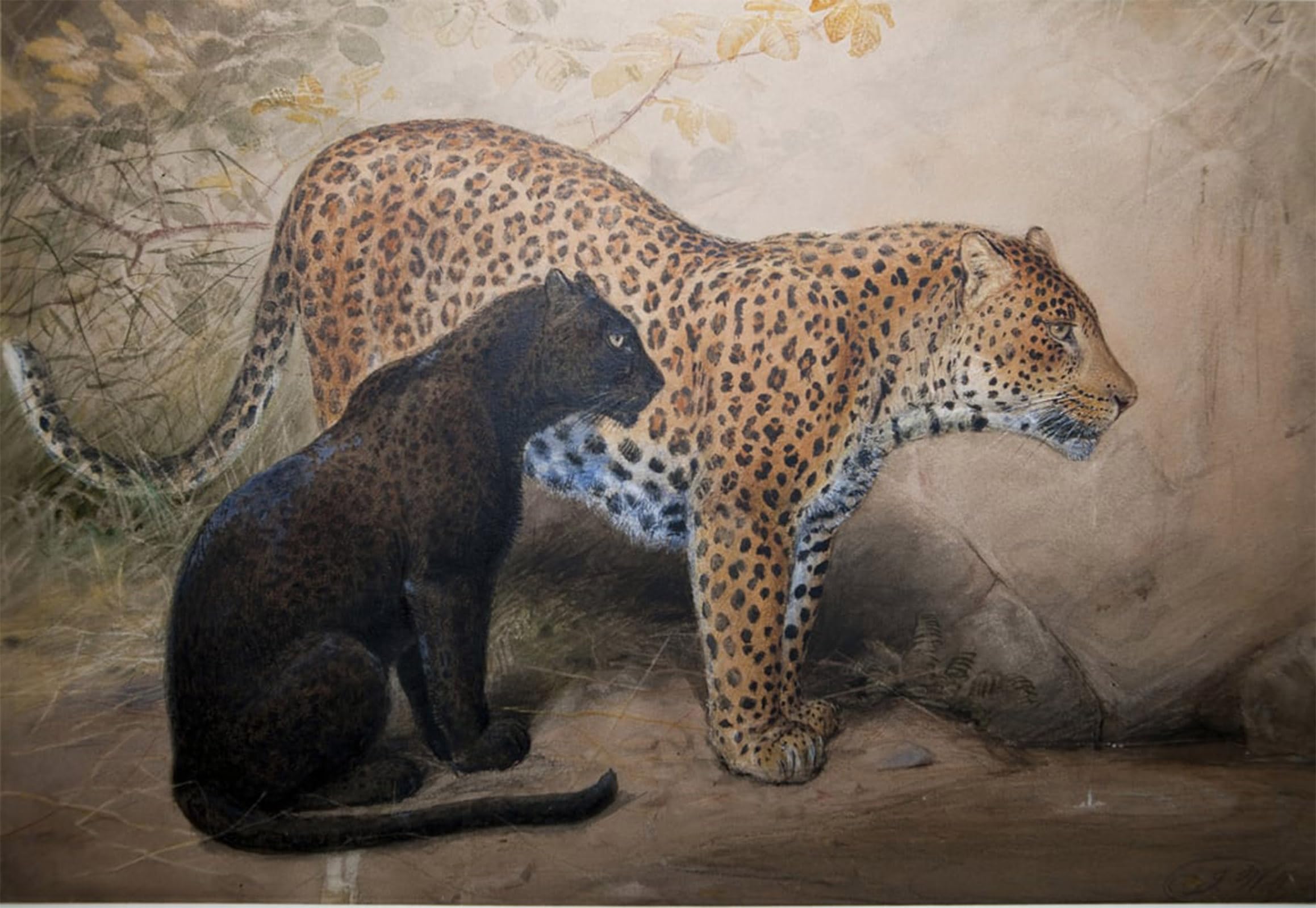 ARTXLXXBN Famous Painting Art Wall Decor Abstract Art Picture Leopards by Wolf Animal Pictures for Home Decor 60x90cm