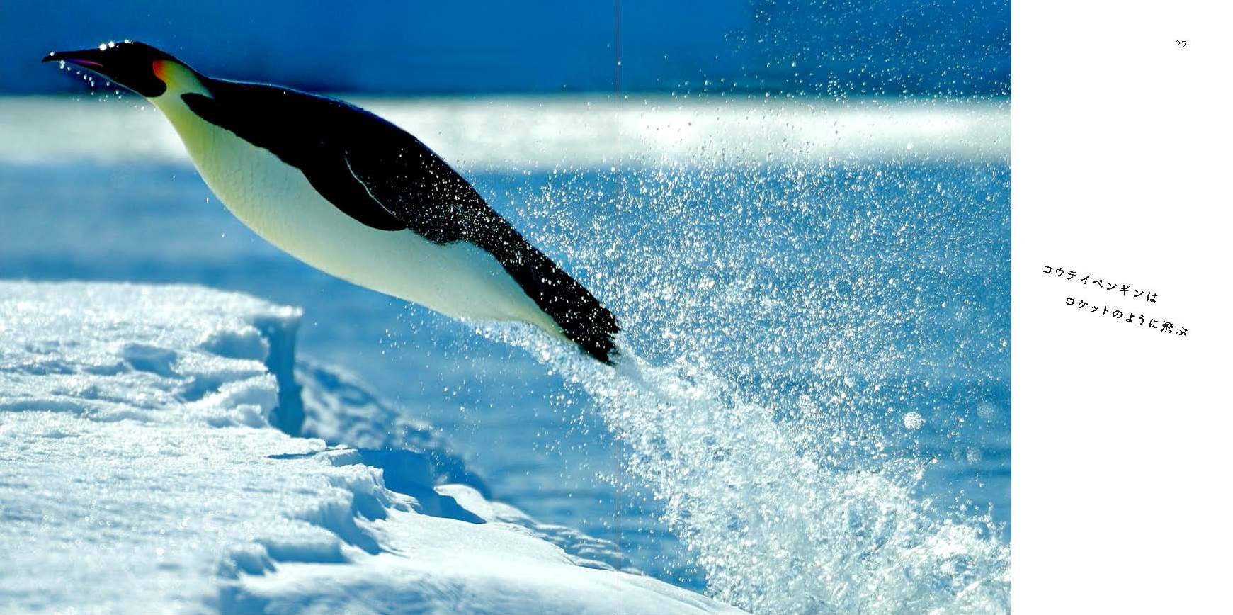 ペンギン空を飛ぶ 本 通販 Amazon