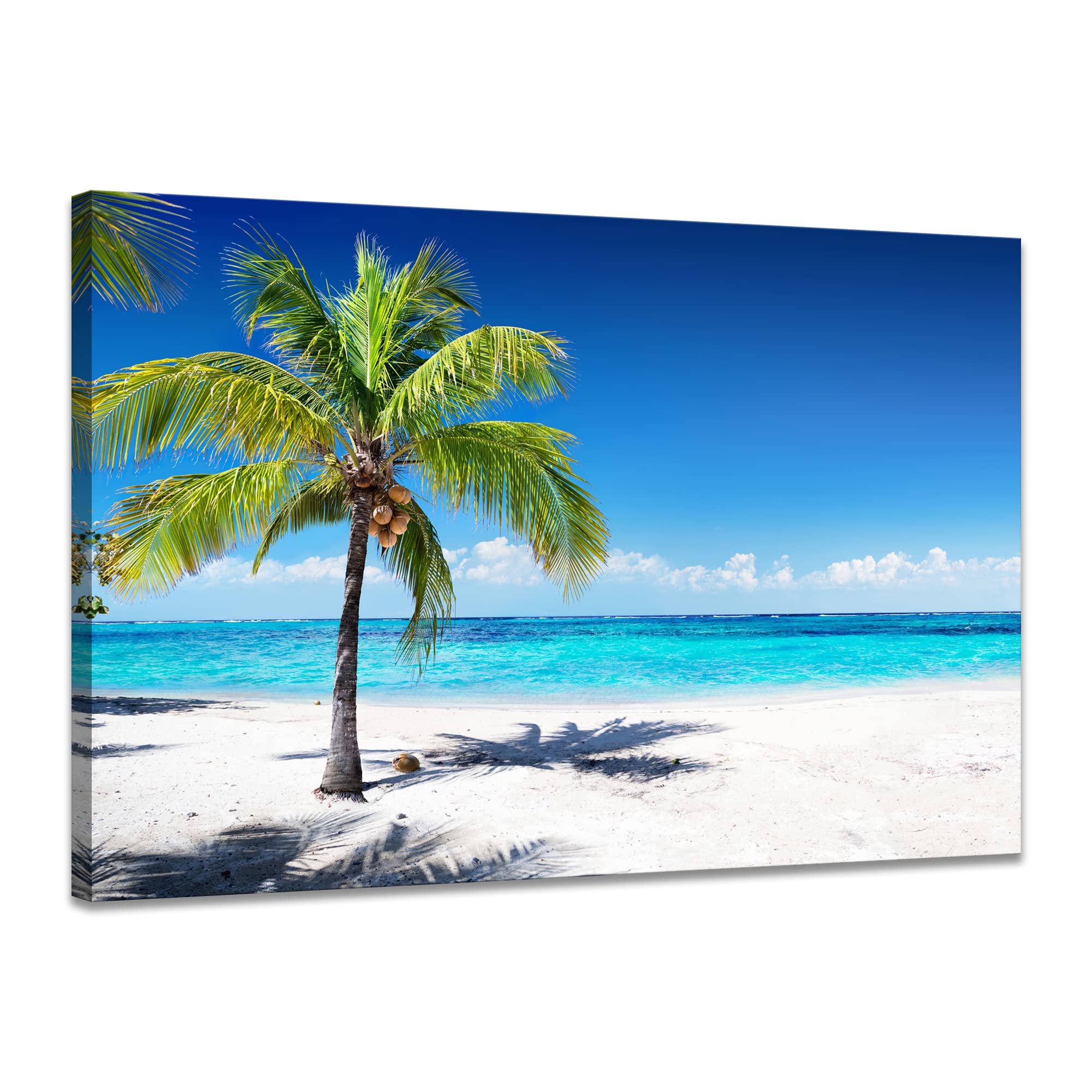 Amazon.co.jp: 海絵 アートパネル 海 椰 自然風景 日光 絵画 太陽 風景