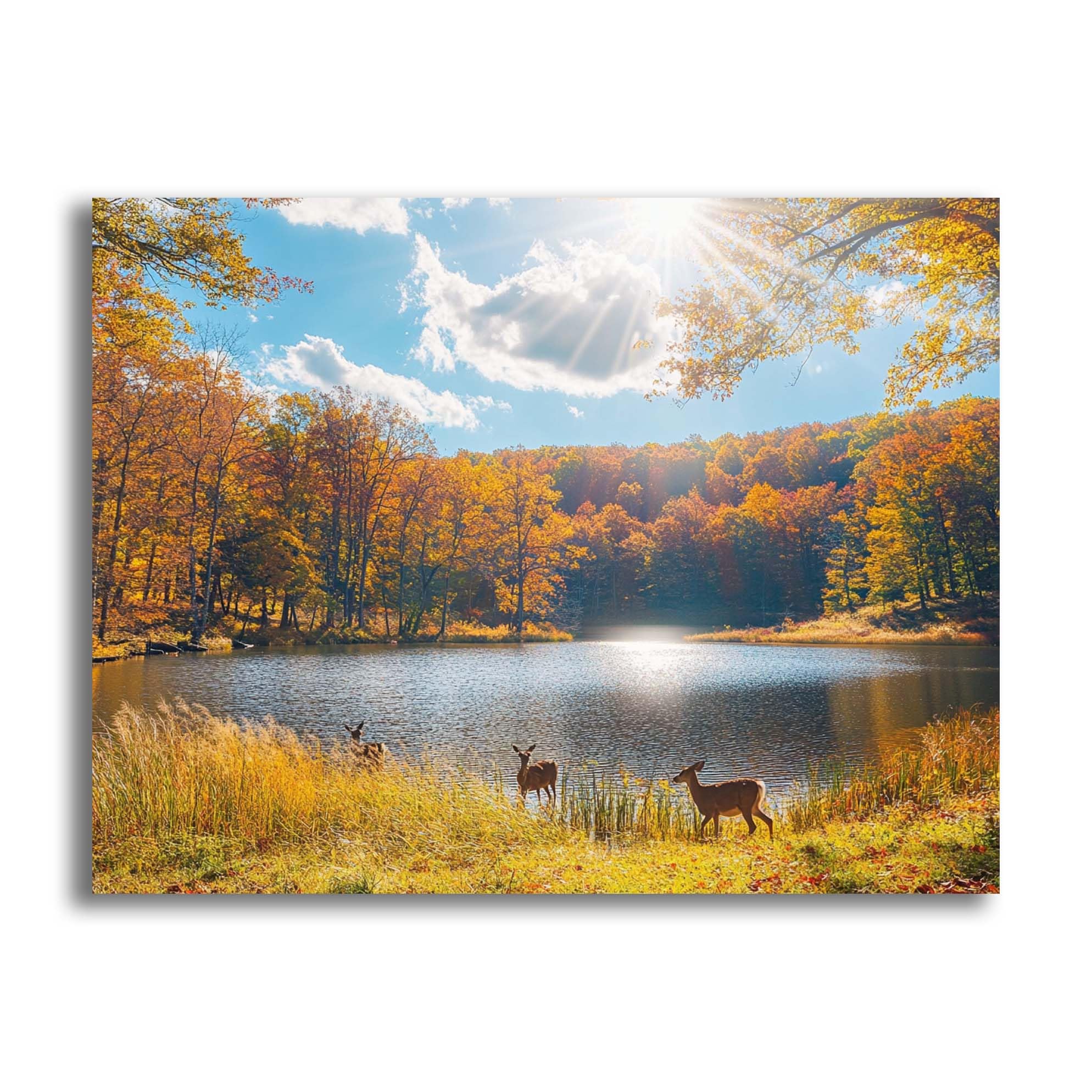 Ginfonr DIY 5D Diamond Art Kits for Adults, Scenery Diamond Painting, Animals/Woman Full Drill, Diamond Art Embroidery Rhinestone Craft, 12 x 16 Inch