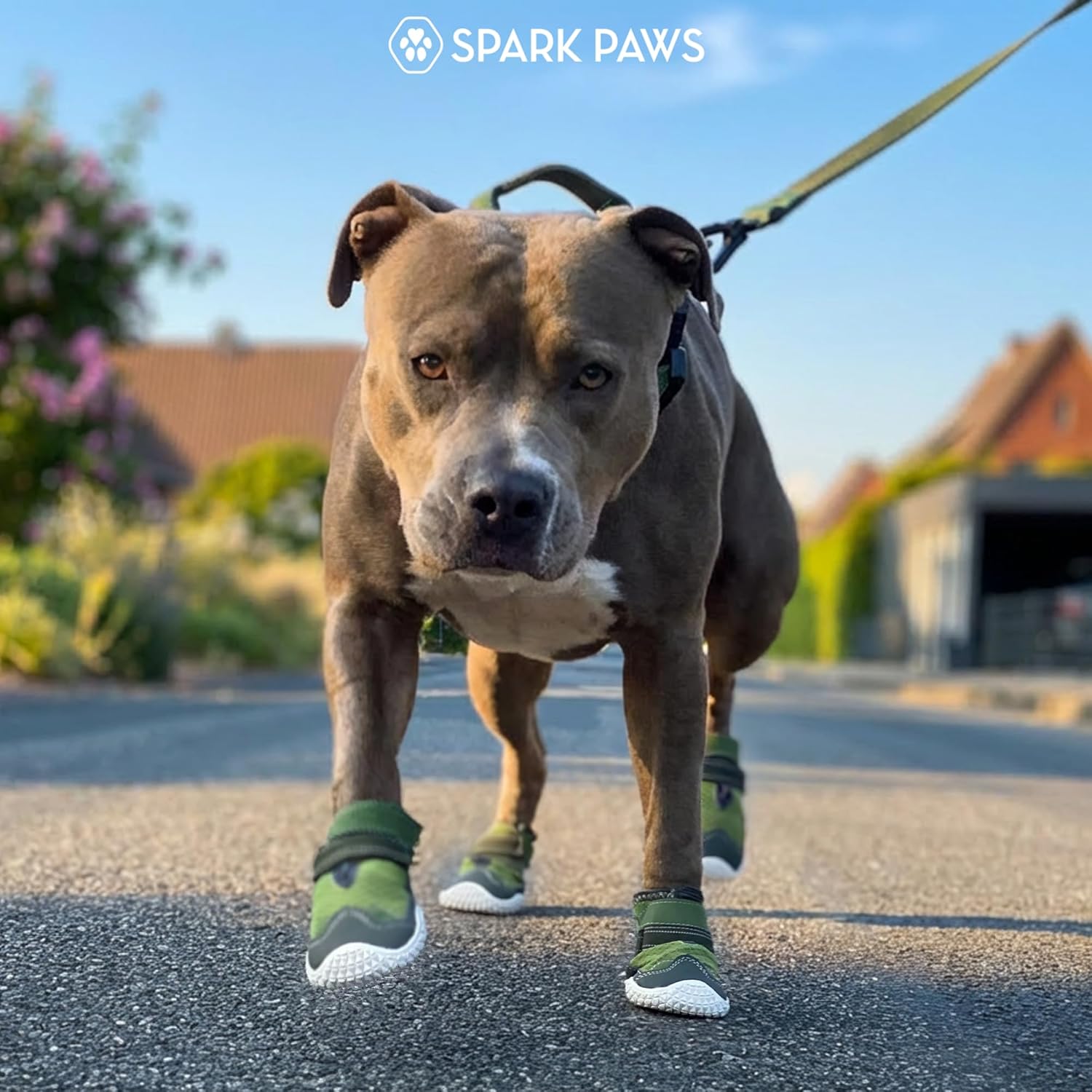 Spark Paws Dog Shoes for Large Small Medium Dogs Breathable Dog Booties for Hiking, Summer Hot Pavement Paw Protectors for Non Slip Rubber Dog Boots for Outdoor (Green, Size 5)