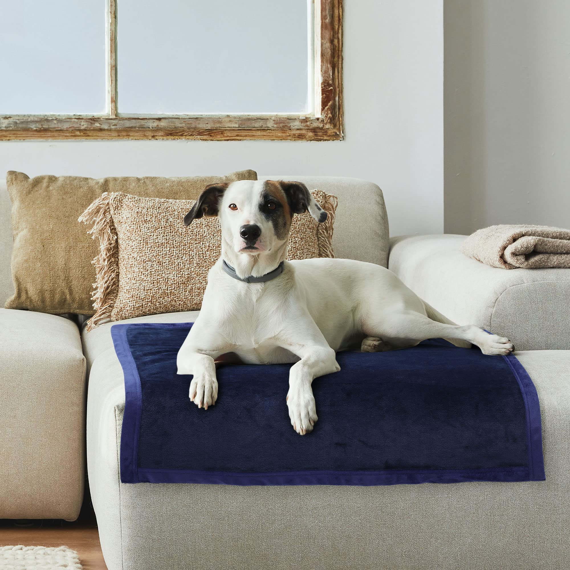 PiccoCasa Dog Blanket Washable, Fleece Puppy Blankets Soft and Warm for Pets Flannel Bed Cover Navy Blue 75cm x 100cm - Image 2