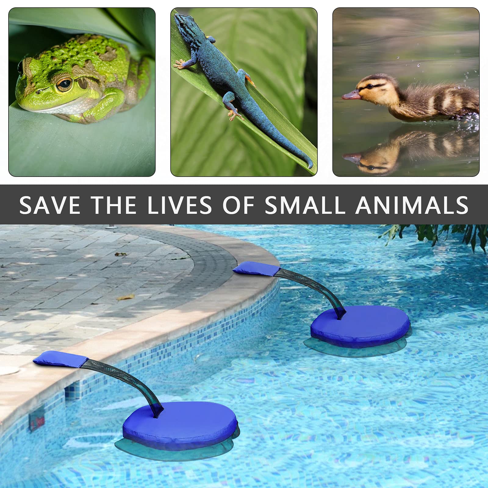 ConBlom Rampa de escape para mascotas para piscina, flotante, accesorios