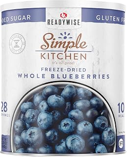 ReadyWise Freeze-Dried Whole Blueberries, 28 Servings | Vegan Gluten-Free Snacks, Emergency Food, Camping Essentials