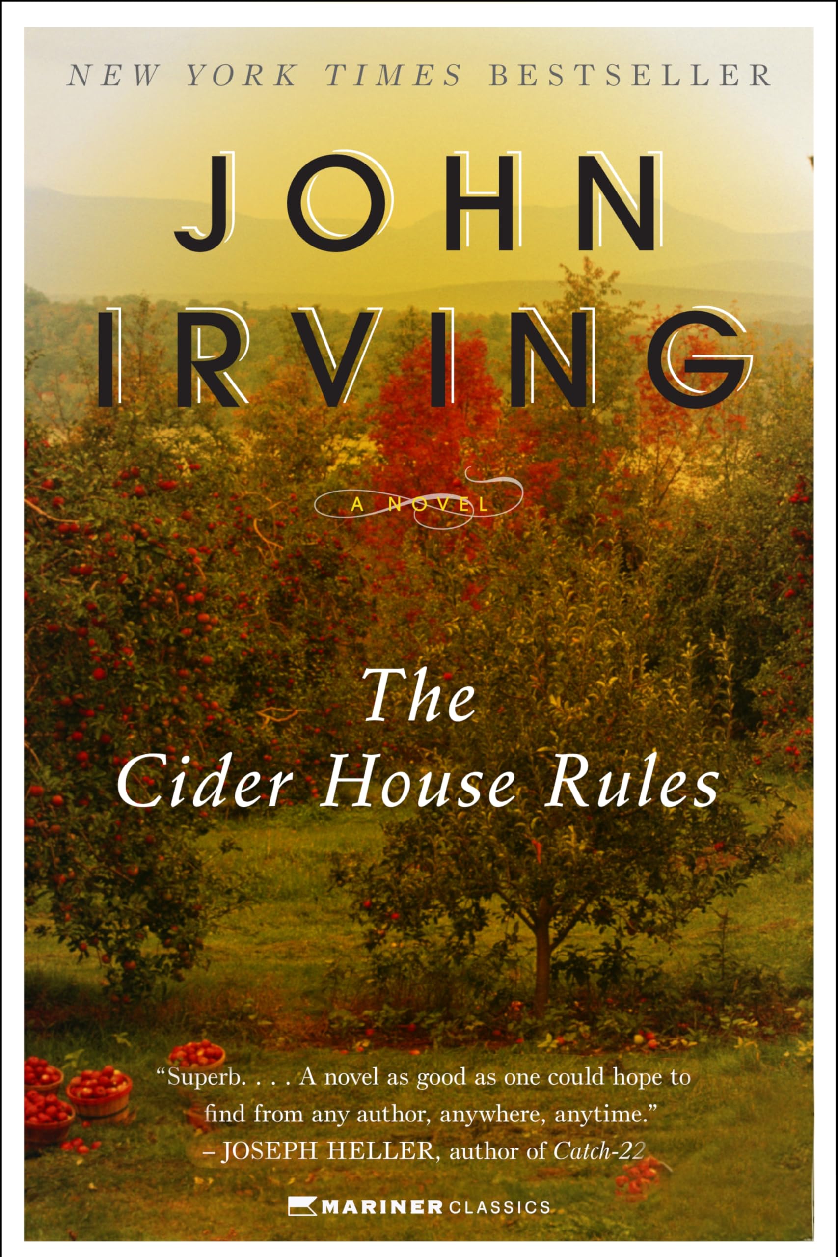 The Cider House Rules: A Classic Literary Saga of Orphanage Life, Ethics, and a Doctor's Moral Journey